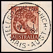 Tel Branch Tiger Cat 1961